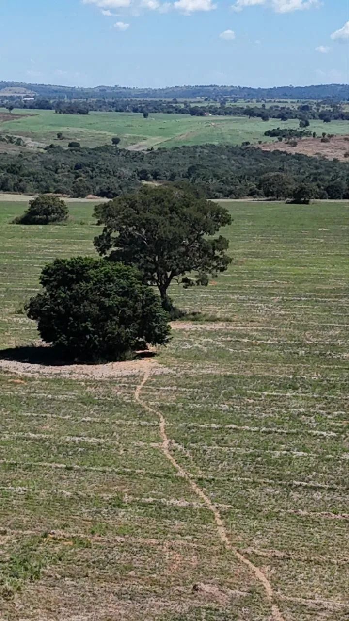 Fazenda em Aragoiânia  - Foto 4