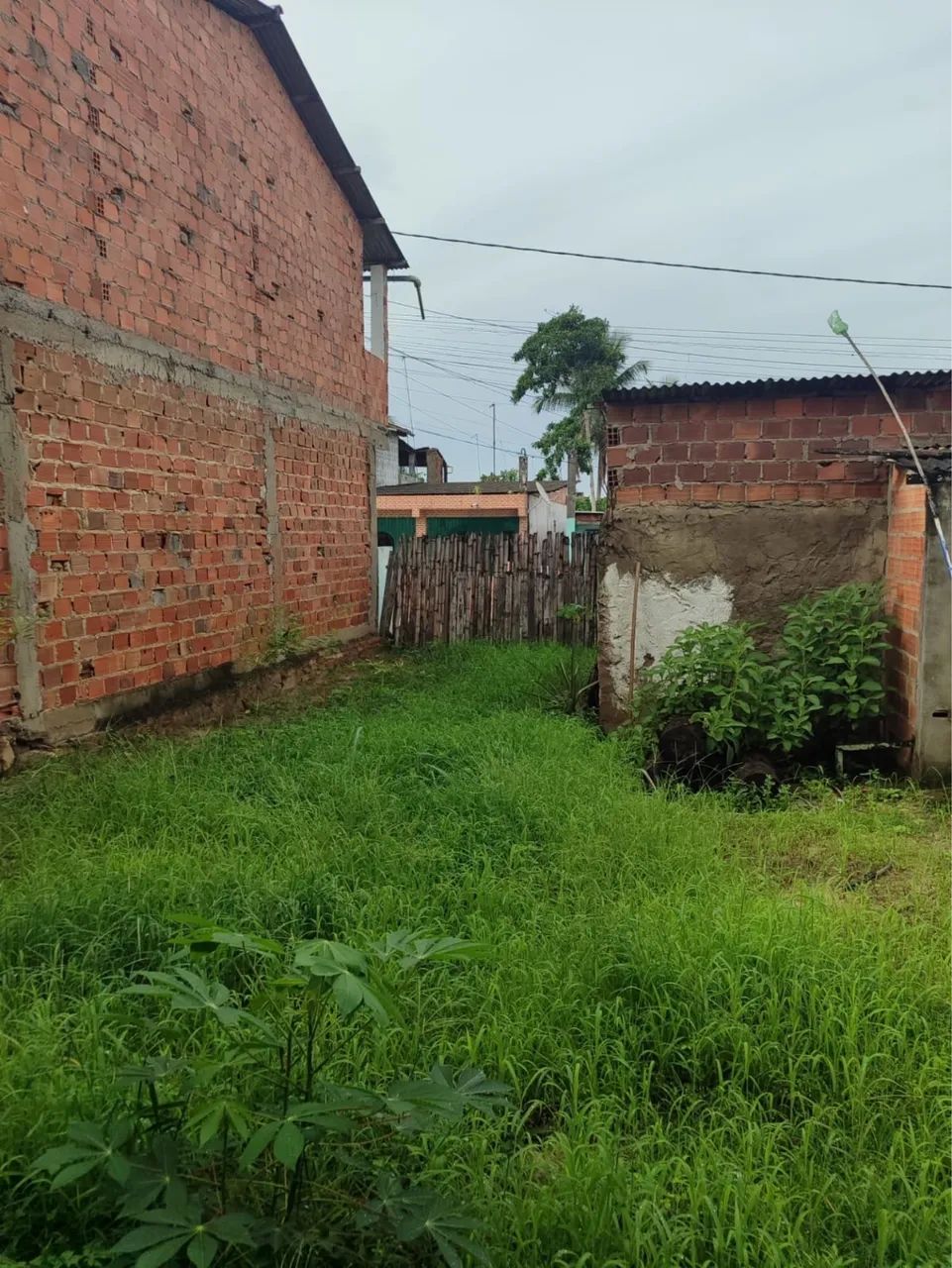 Ponto Comercial + Terreno - Terra nova  - Foto 3