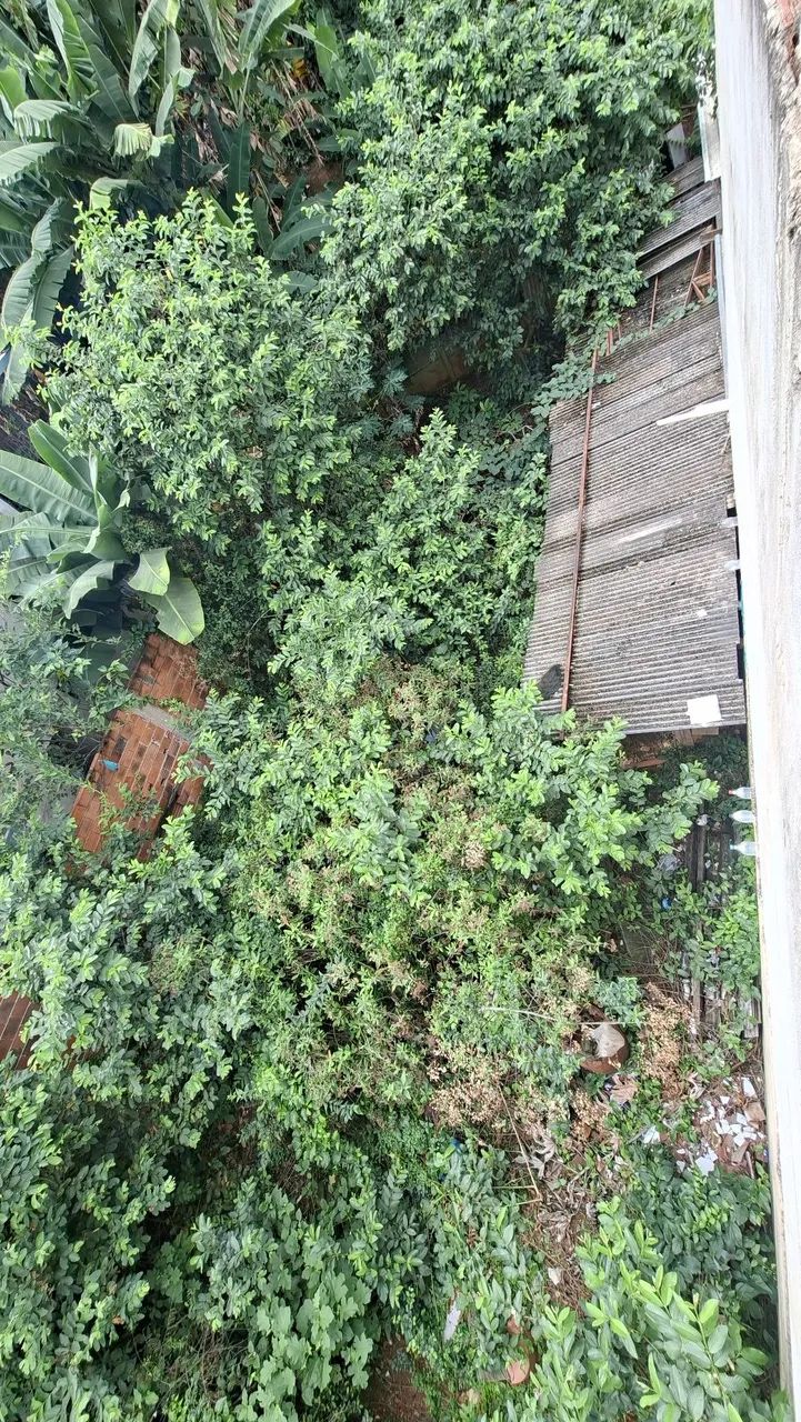Lote plano 256m² - Foto 2