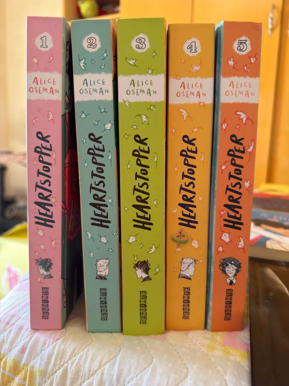 Box Heartstopper - novo 