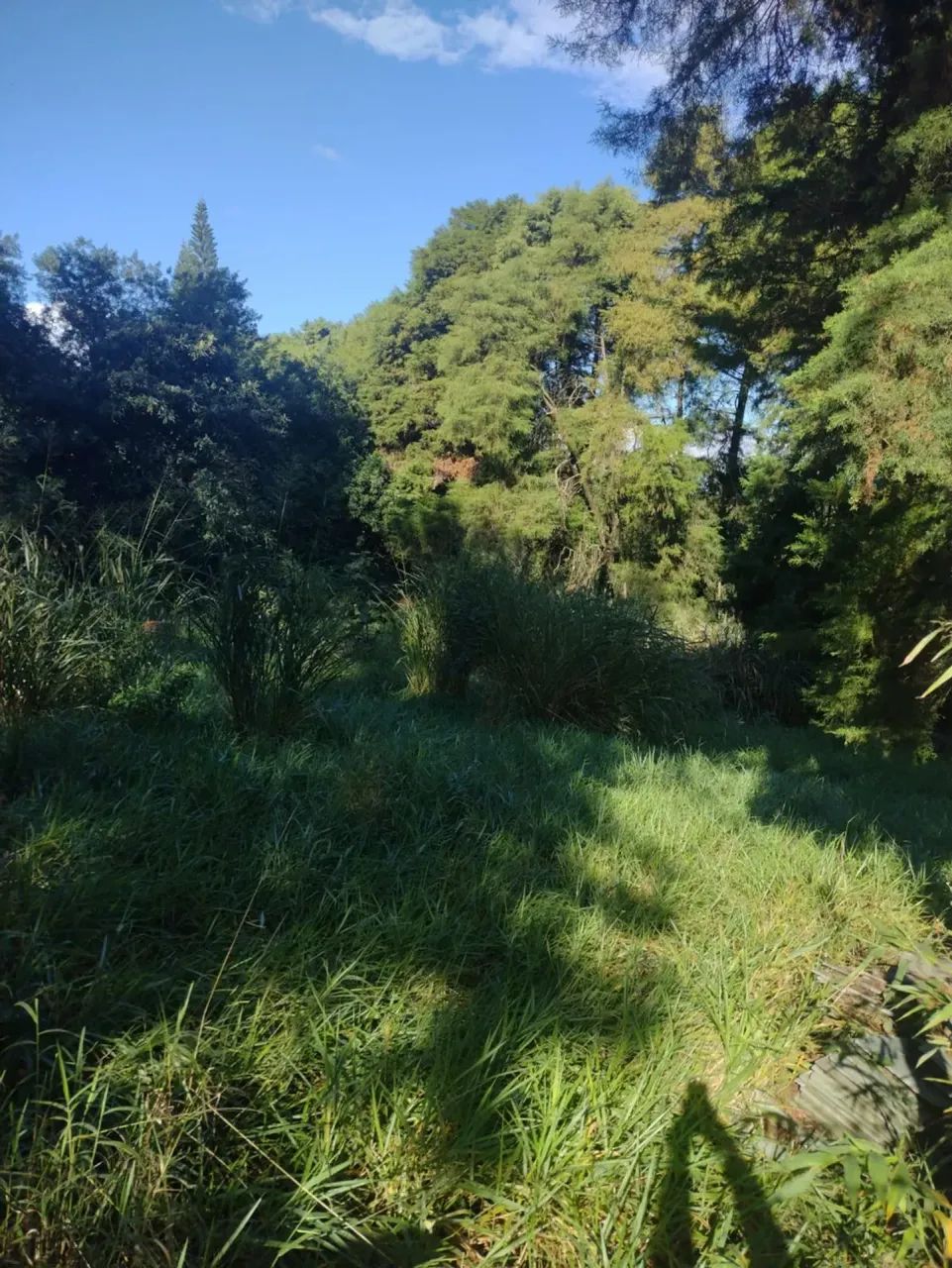 Terreno com  1128 me² em Vale Verde - Valinhos - SP - Foto 3
