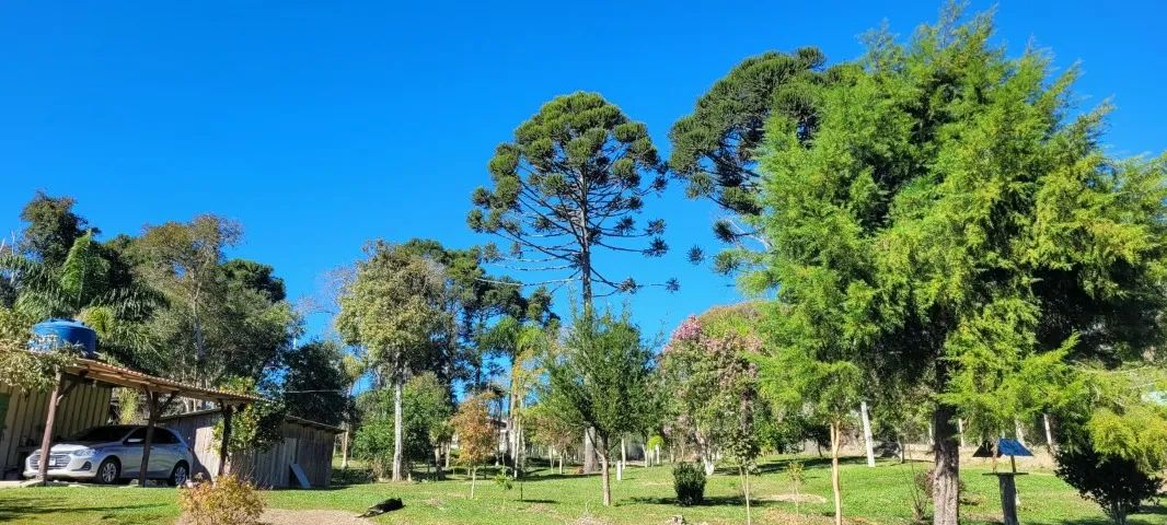 terreno - Foto 3