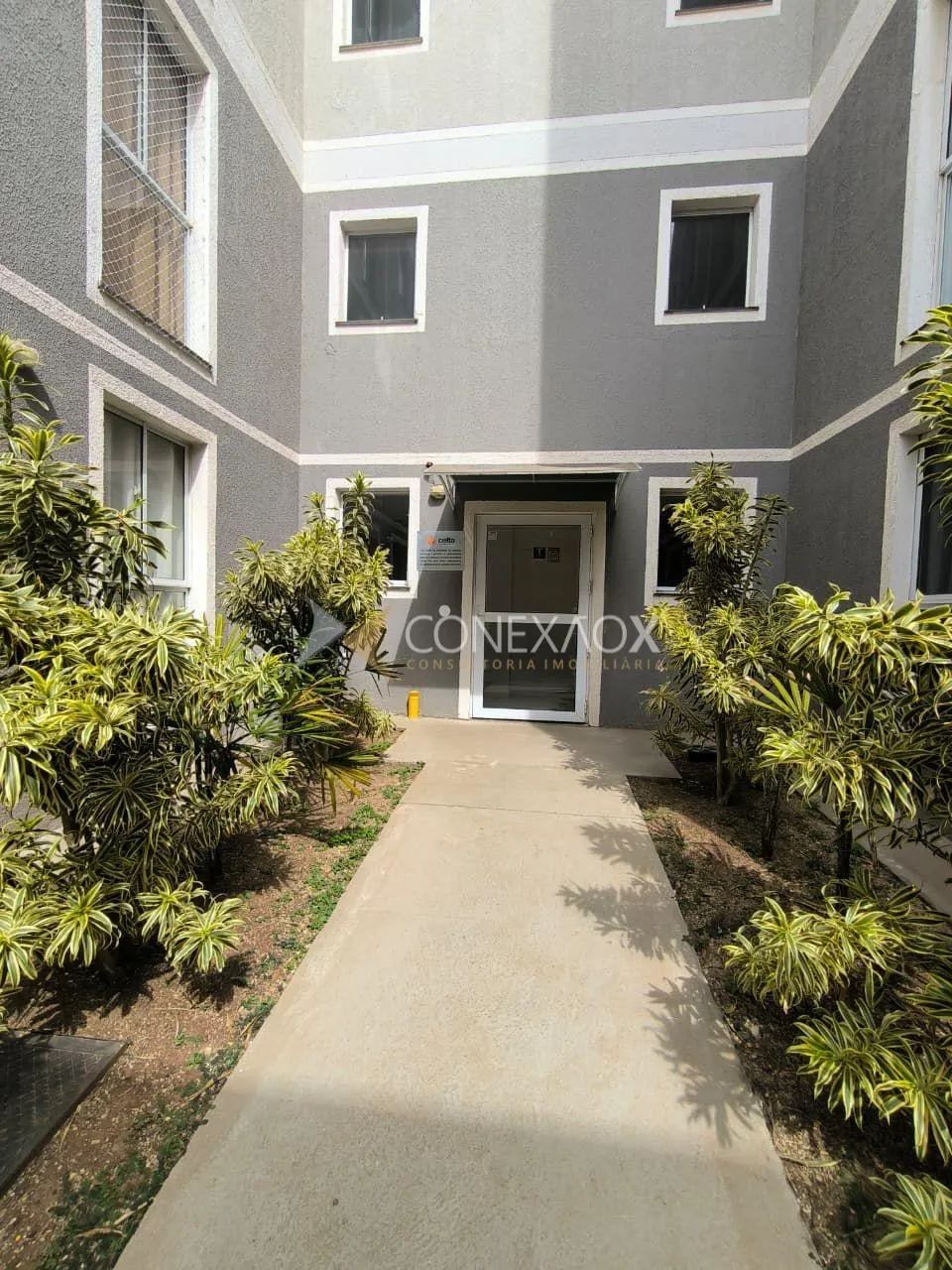 apartamento - Jardim Capivari - Campinas