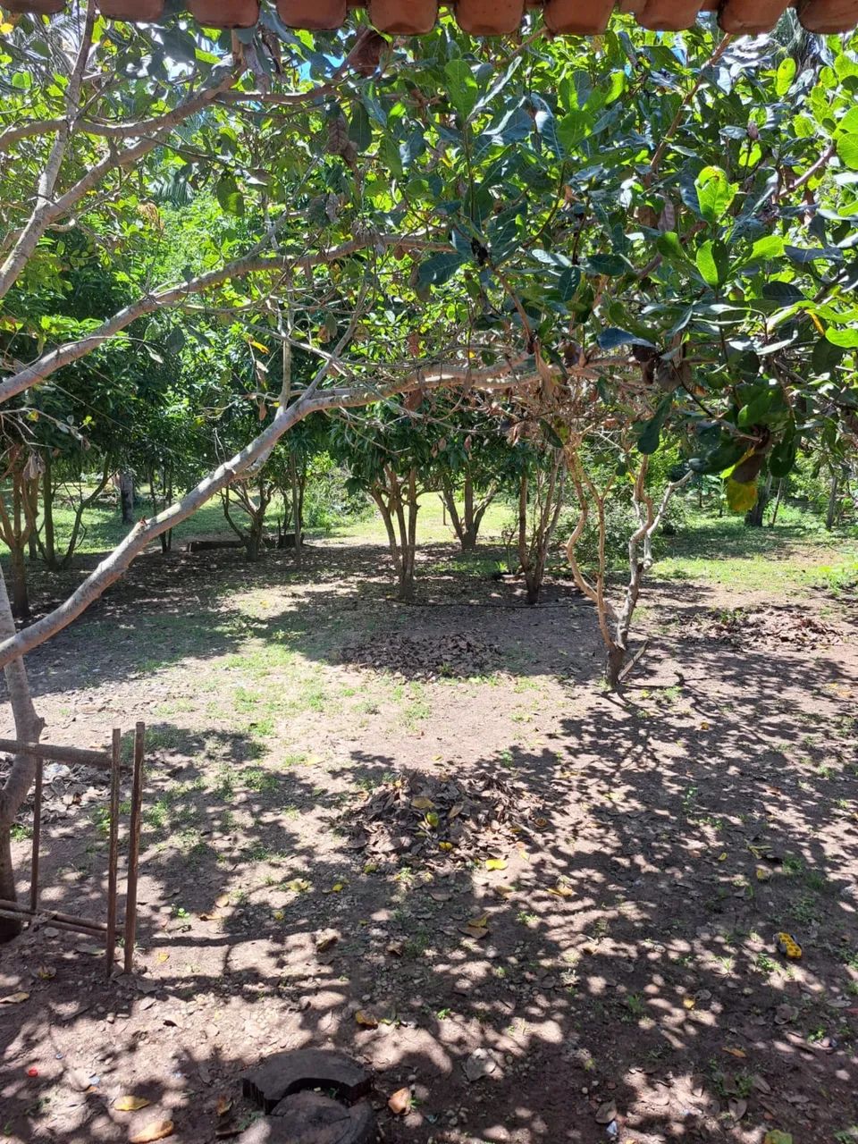 Chácara em itaguatins  - Foto 2