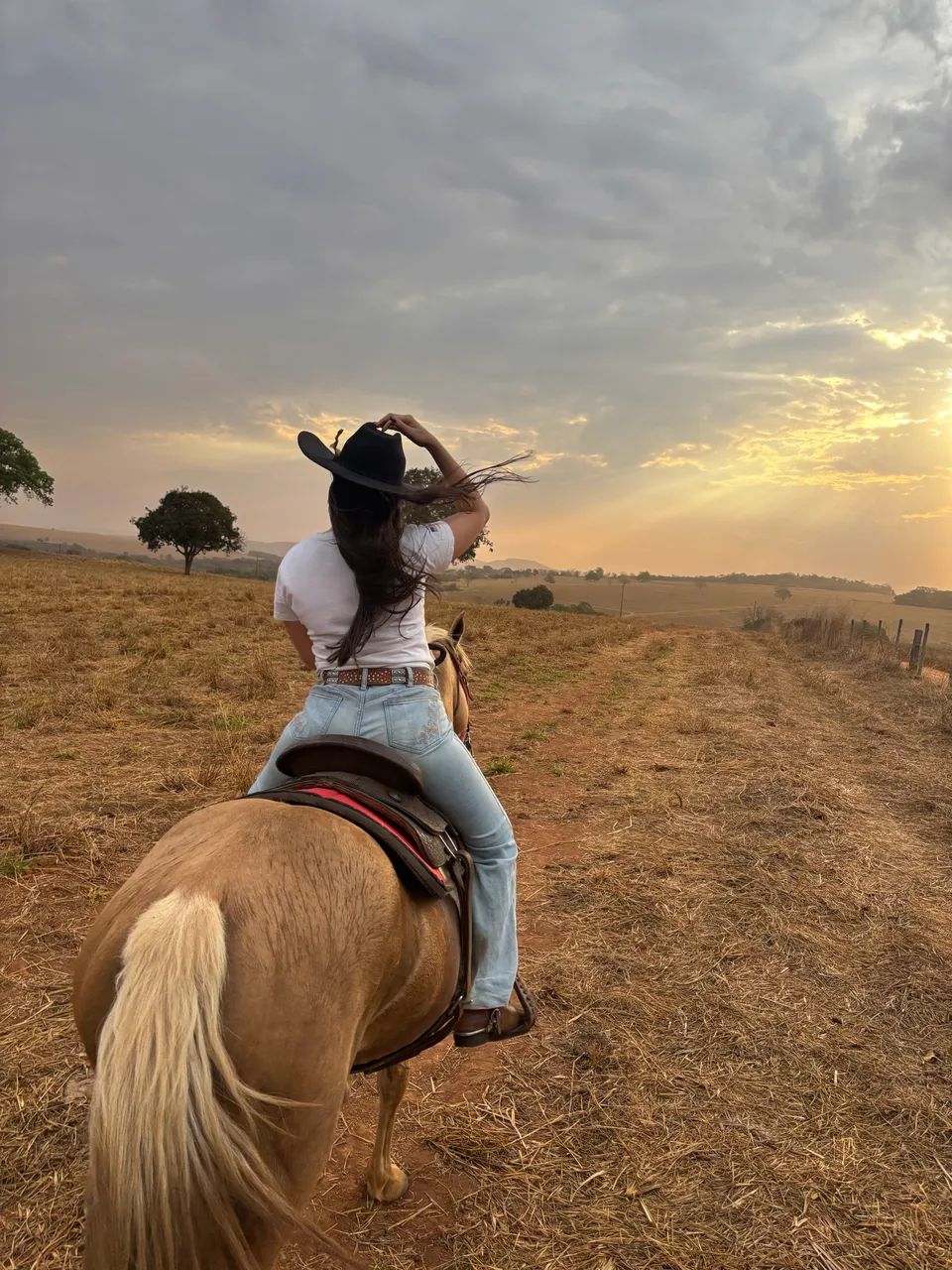 Égua quarto de milha!! Nova e chique 