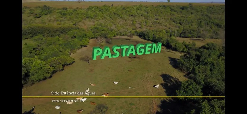 Vendo Granja em Operação Integrada MBRF - 2.400 Suínos - * - Foto 3