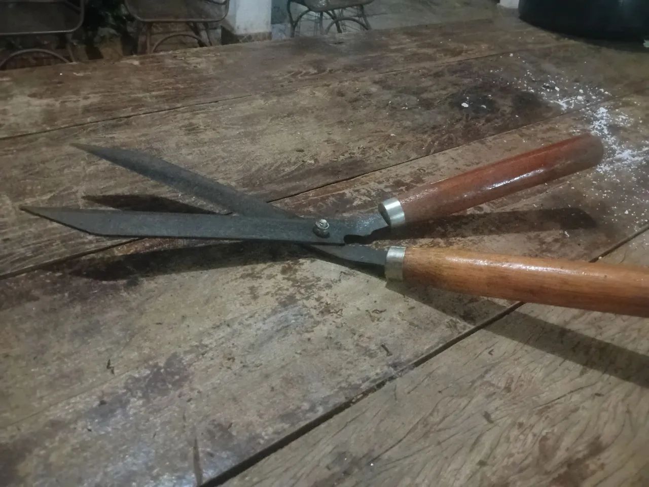 Pruning Shears