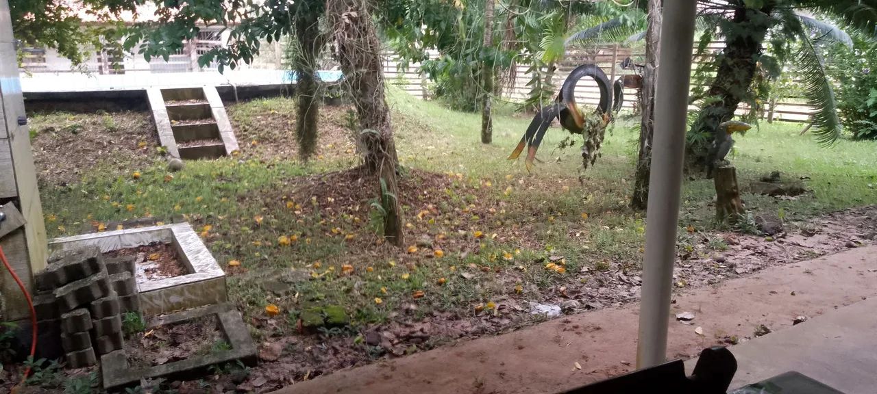 Vendo Excelente Chácara com duas Casas uma de hóspede e a principal  - Foto 2