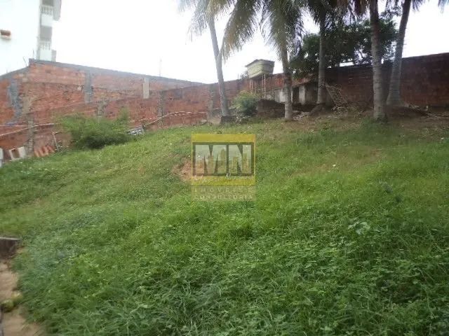 Terreno com Galpão - Foto 2