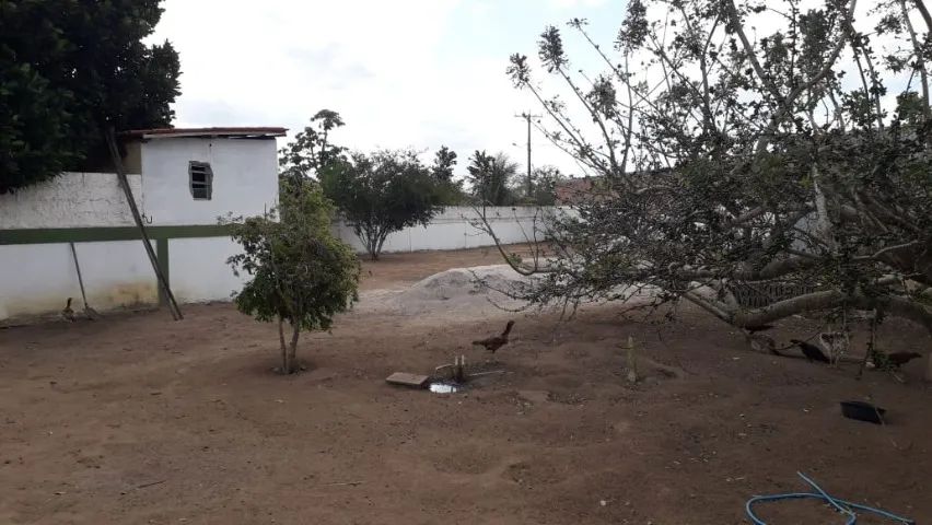 Terreno 4.146,43 m² - Foto 3