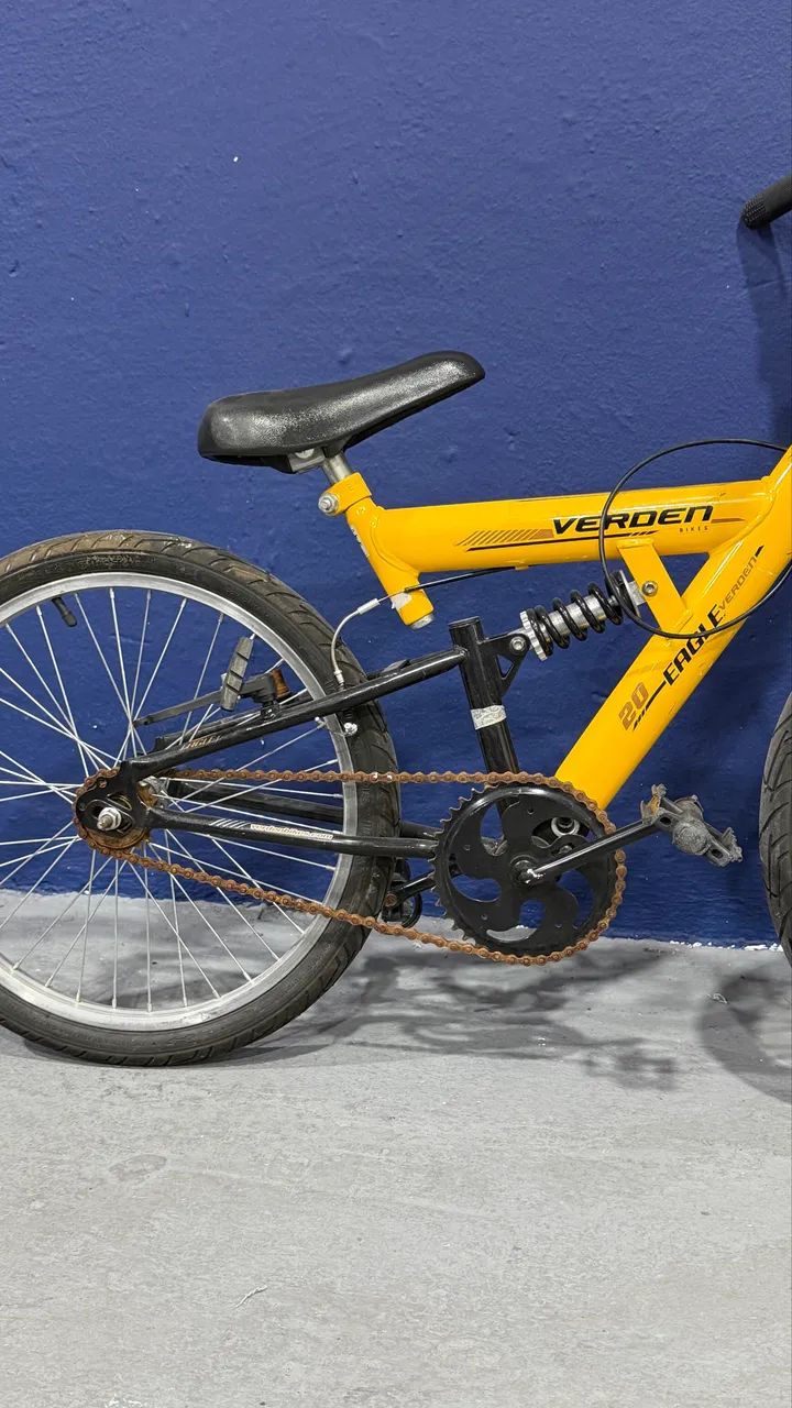 Bicicleta Infantil Com Amortecedor