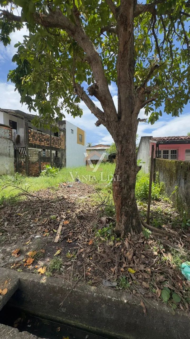 Terreno em Porto Grande - Salinópolis - Foto 4