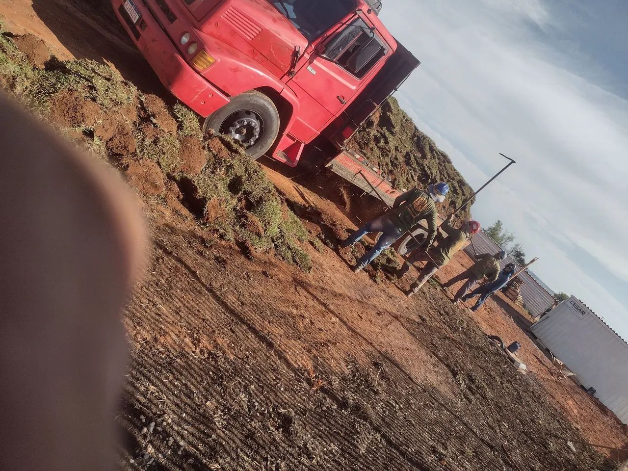 Grama batatas..