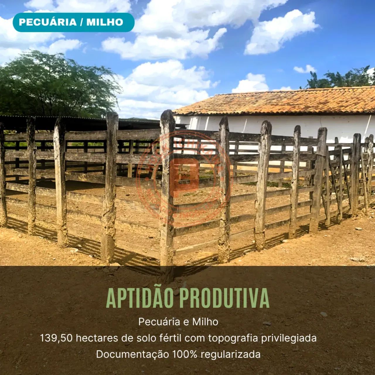 FAZENDA - 460 tarefas - ITABI - Foto 5