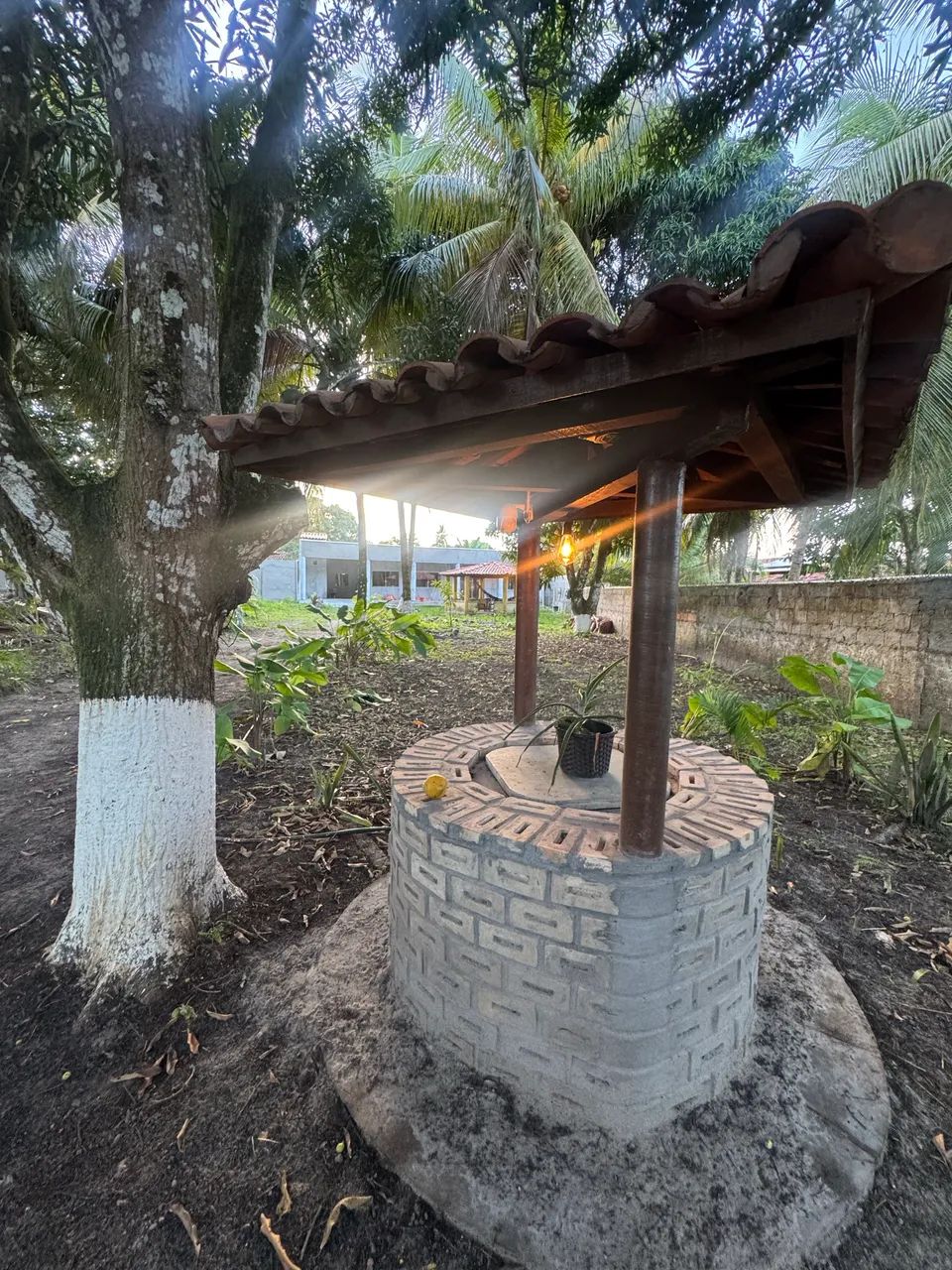 Lindo sítio a venda  - Foto 3