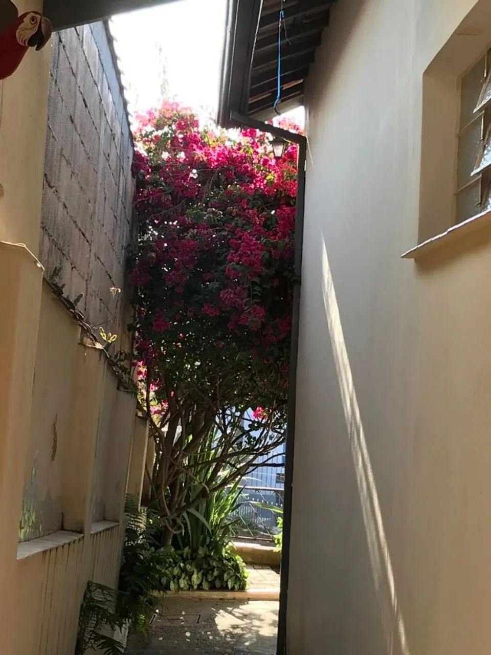 Ótima Oportunidade - Casa a Venda Perus - Foto 2
