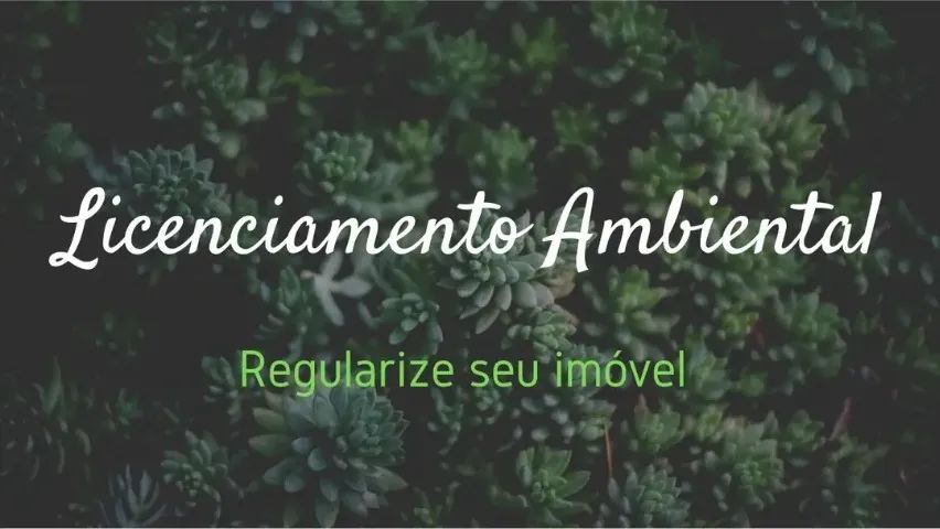 LICENCIAMENTO E MULTAS AMBIENTAIS - Foto 2