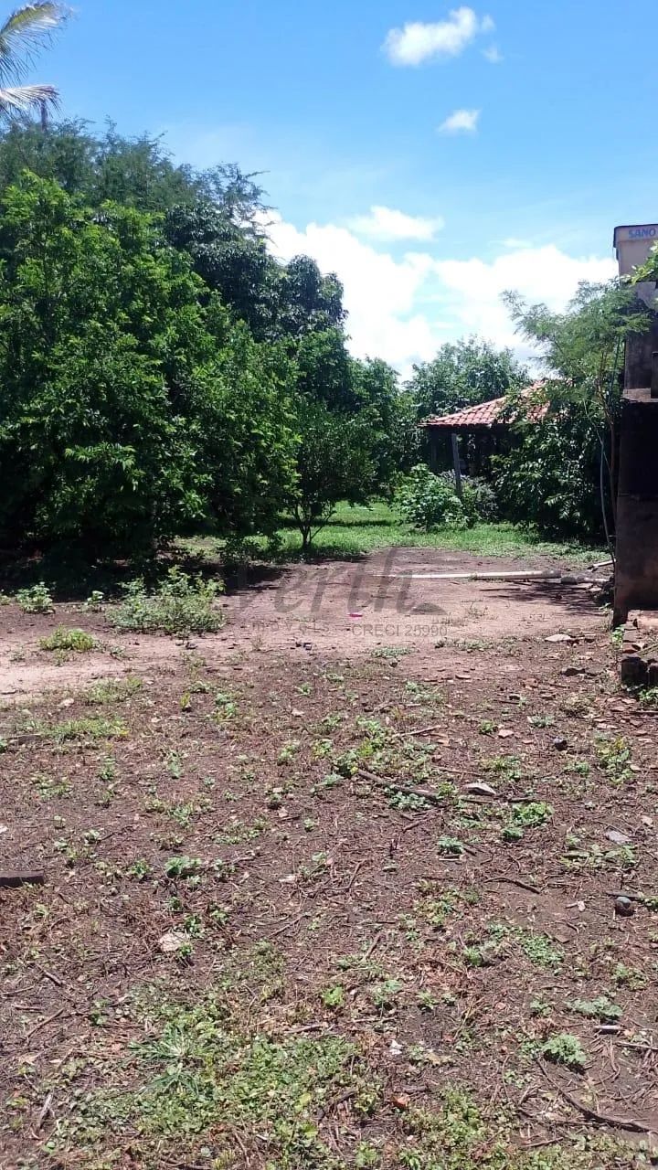 fazenda - Centro - Campo Azul - Foto 3
