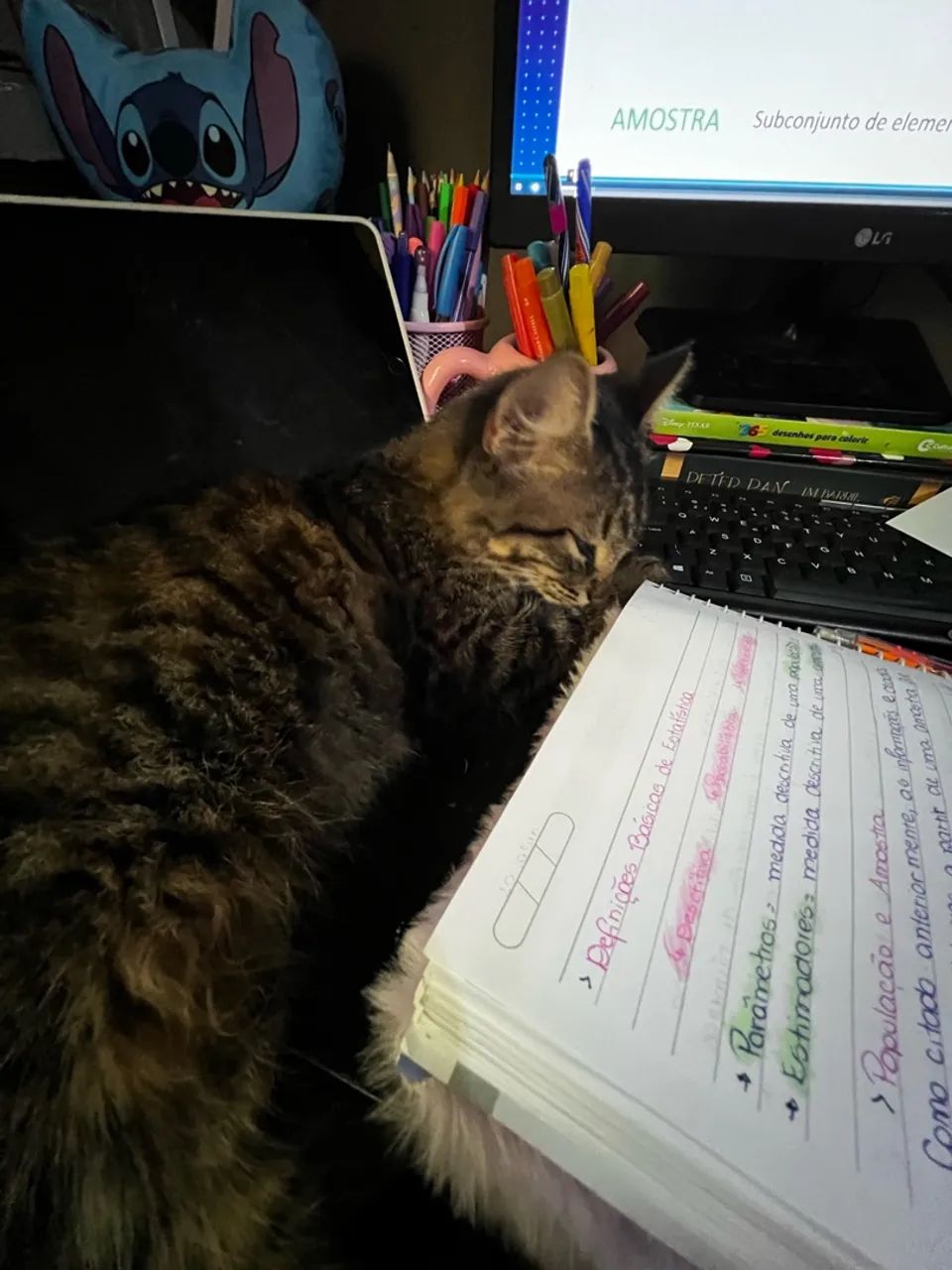 Doa-se Gata - Foto 3