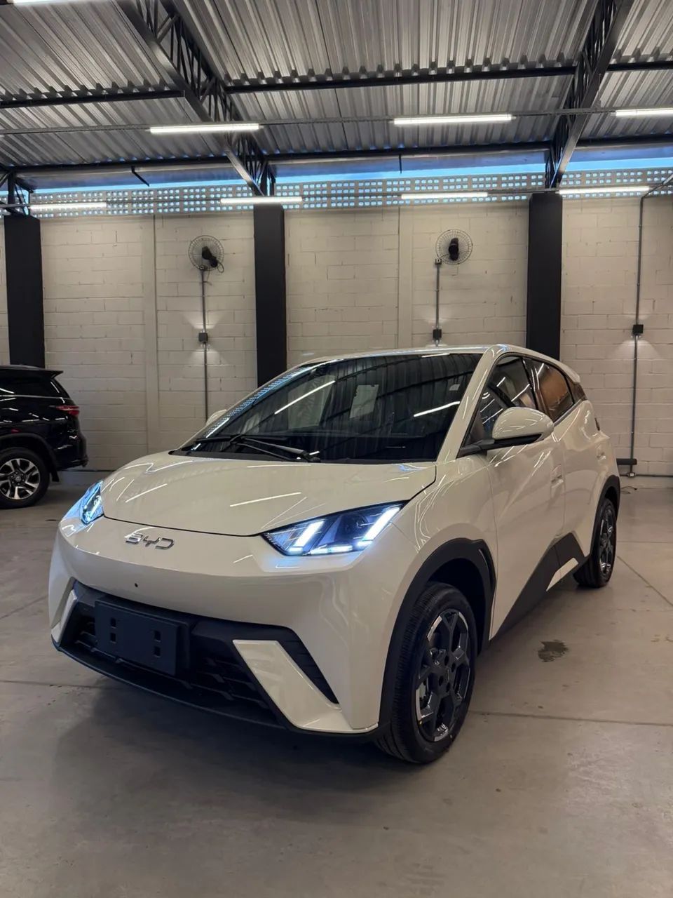 BYD Dolphin Mini (Elétrico) 2027 - Foto 2
