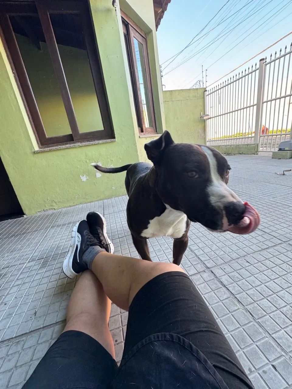 Doação  - Foto 5