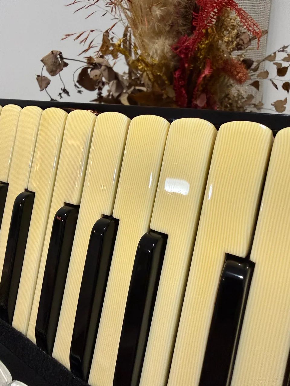Acordeon Todeschini Super 5 - Foto 2