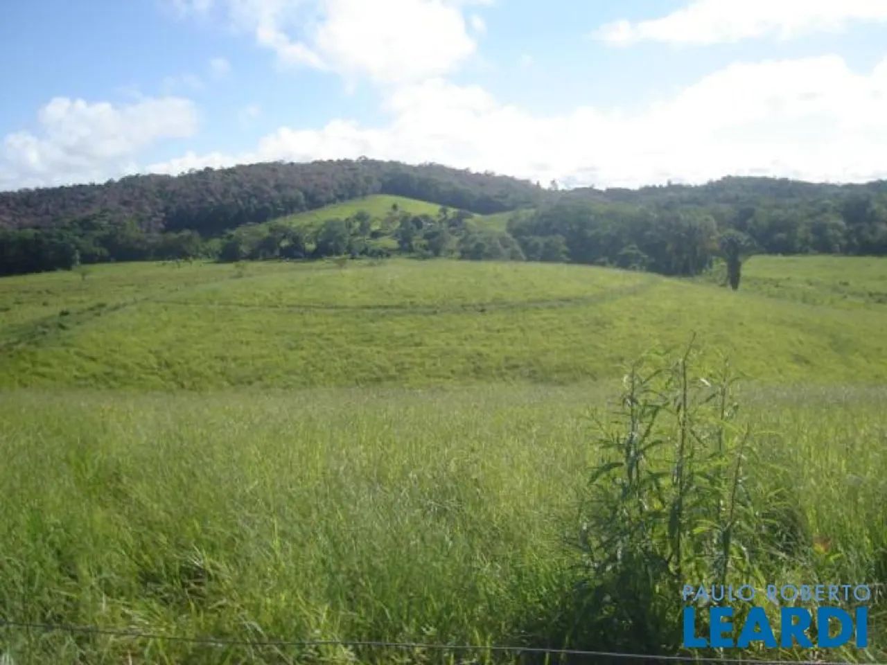 AREA - PARQUE SANTA ROSA - SP - Foto 3