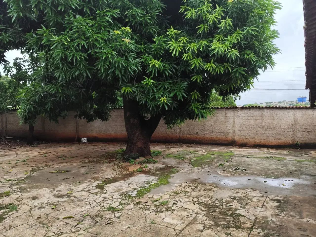 Oportunidade!!!Lote 587m2 de esquina - Foto 4