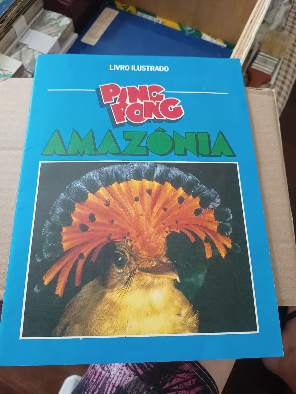 Álbum Amazonia Completo