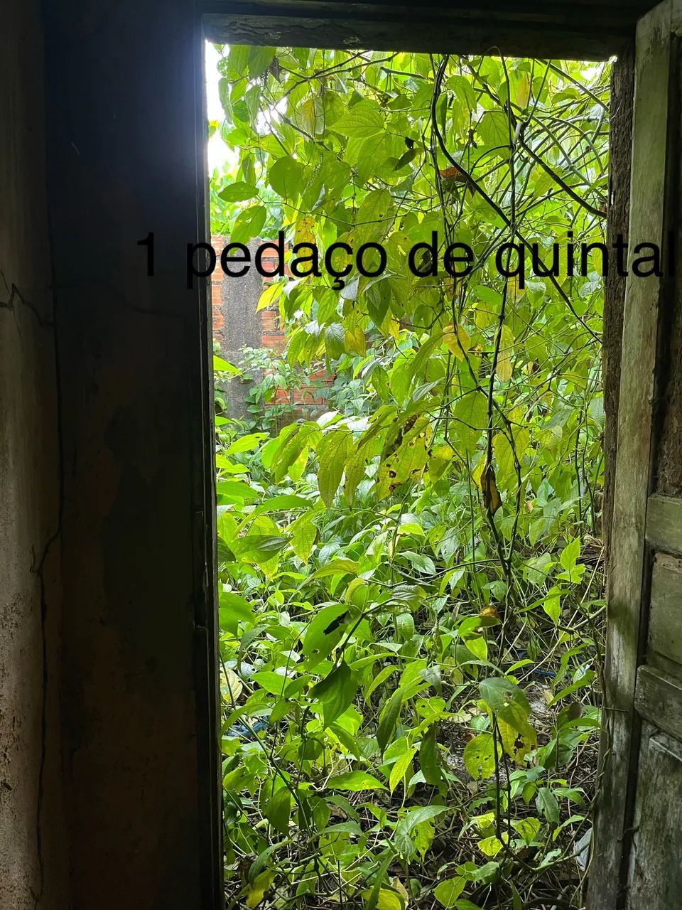 Casa próx Havan Ananindeua  - Foto 3