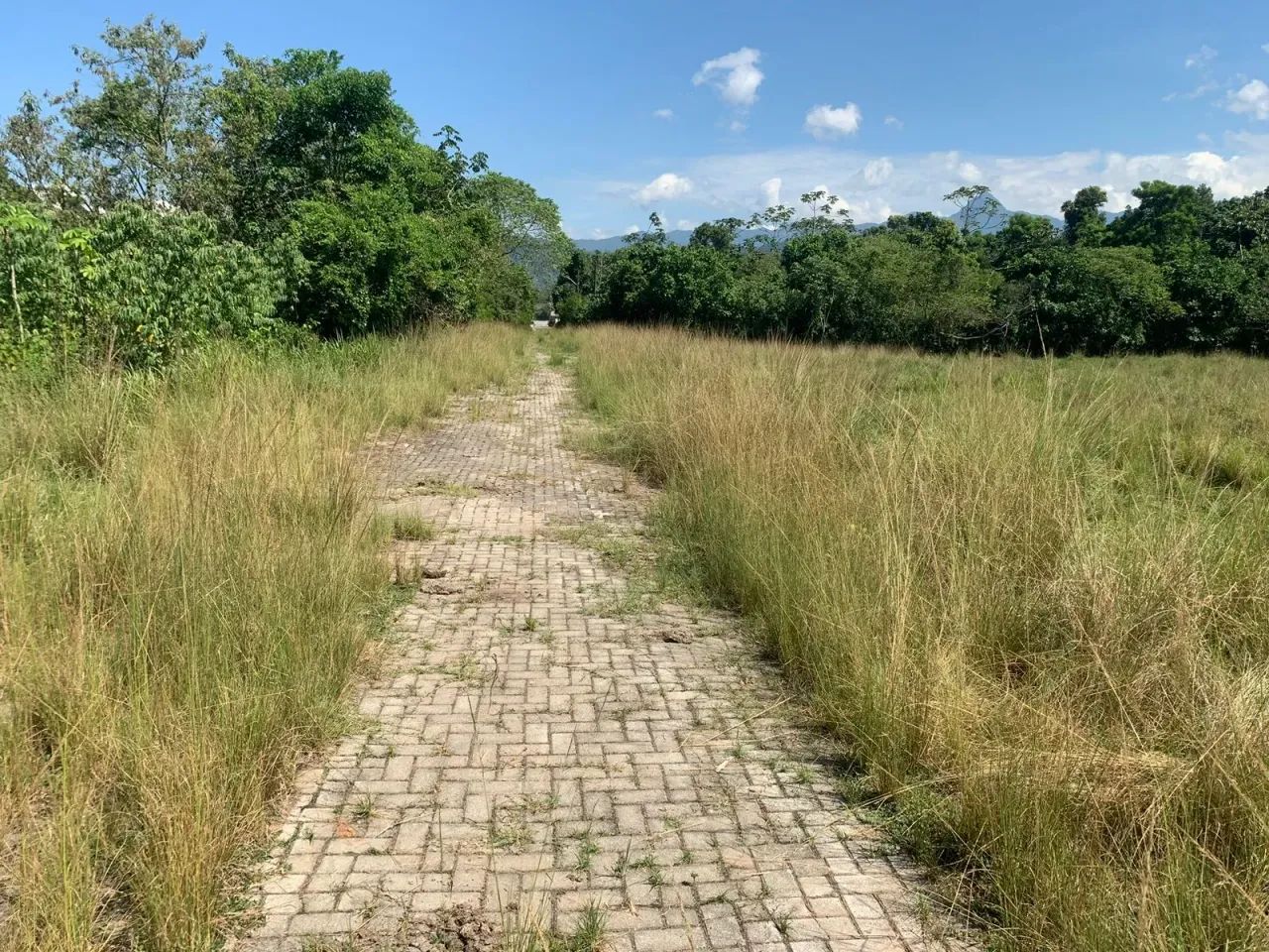 Terreno para venda em Xerém. - Foto 4