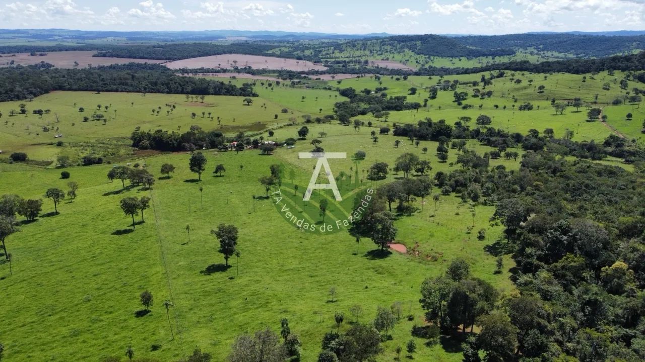 Fazenda em Trindade - GO - Foto 4