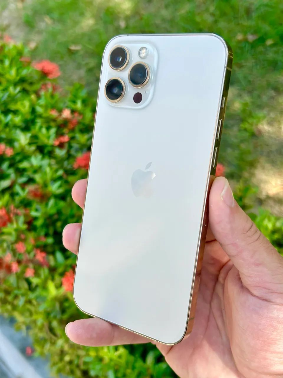 iPhone 12 Pro Max 128gb - Celulares e Smartphones - São José