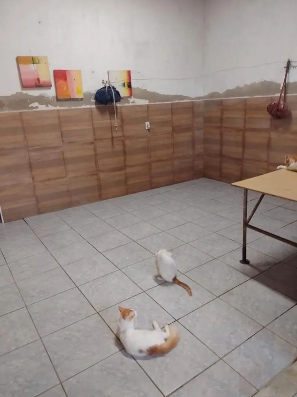 CASA R$60 MIL AVISTA GRANJA LISBOA  - Foto 5