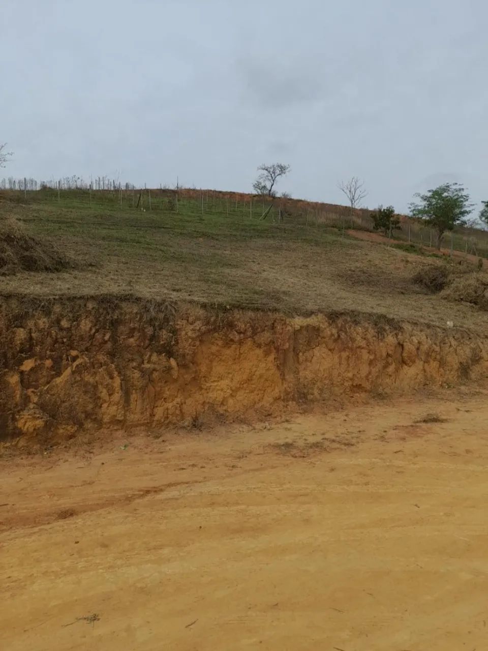 Roçagem e Limpeza de Terrenos, Lotes e Chácaras - Foto 4