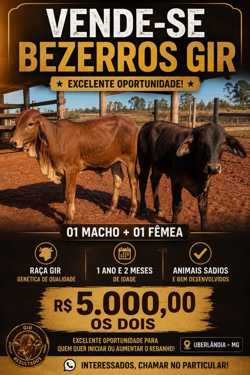 Bezerros 