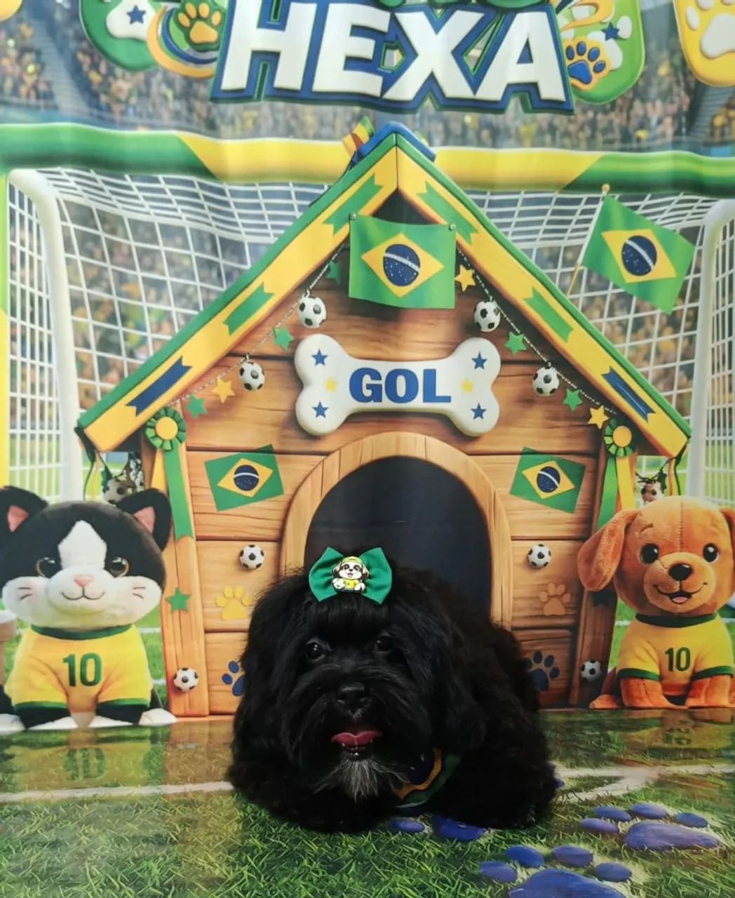 Dog