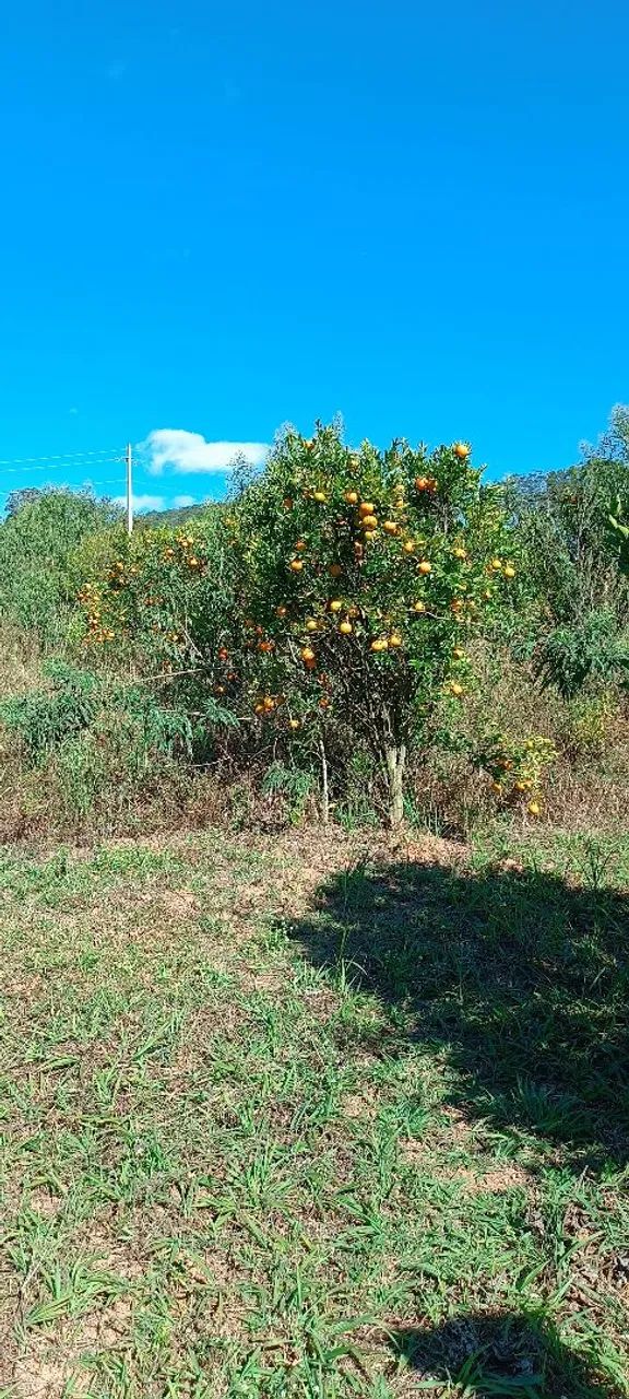 Vendo ou troco chácara  - Foto 2