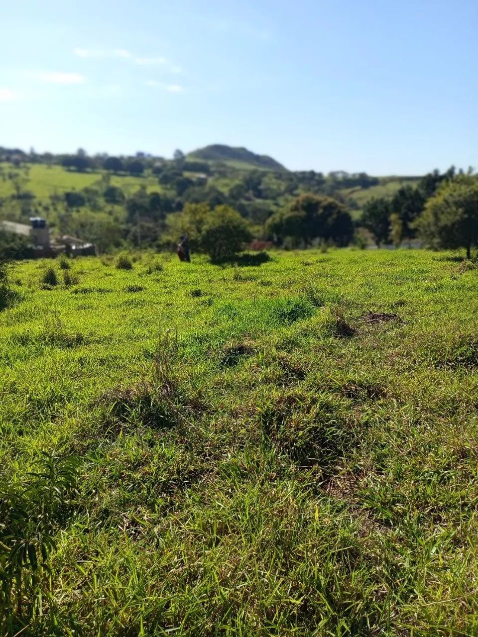 Chácara lugar lindo  - Foto 2