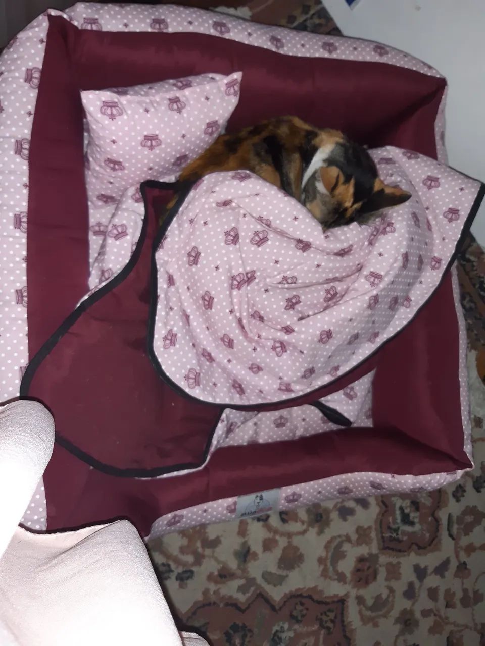 Gatinha doação  3 aninhos. - Foto 5