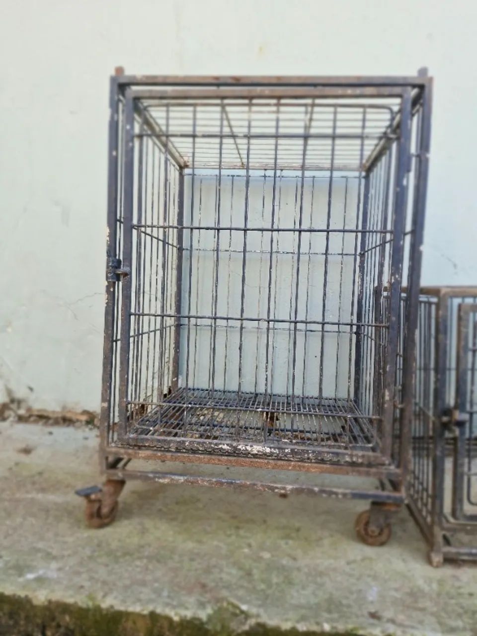 caixa gaiola transporte pet - Foto 2