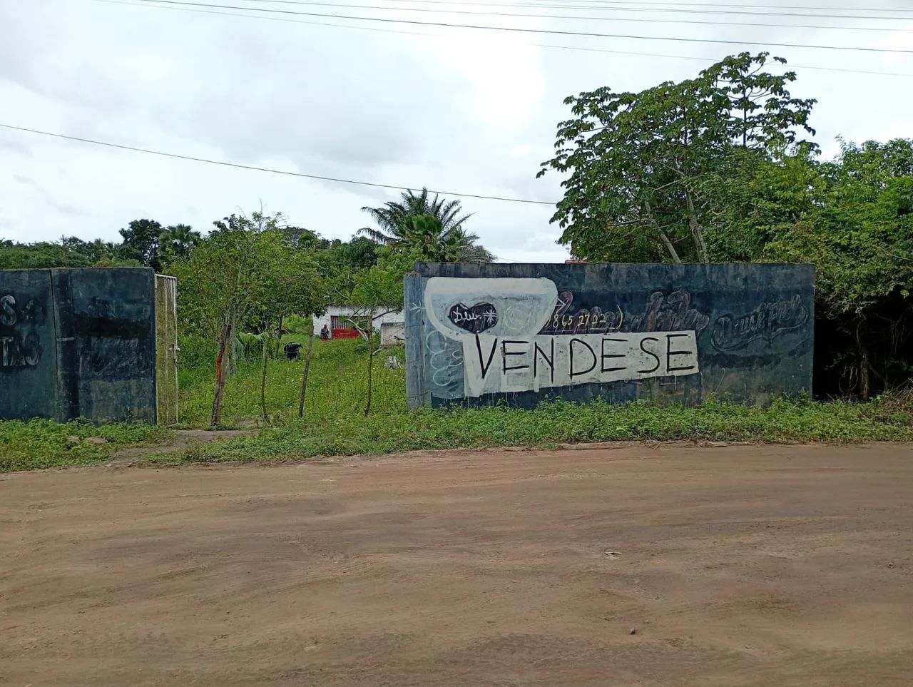 VENDE-SE ROÇA  - Foto 2