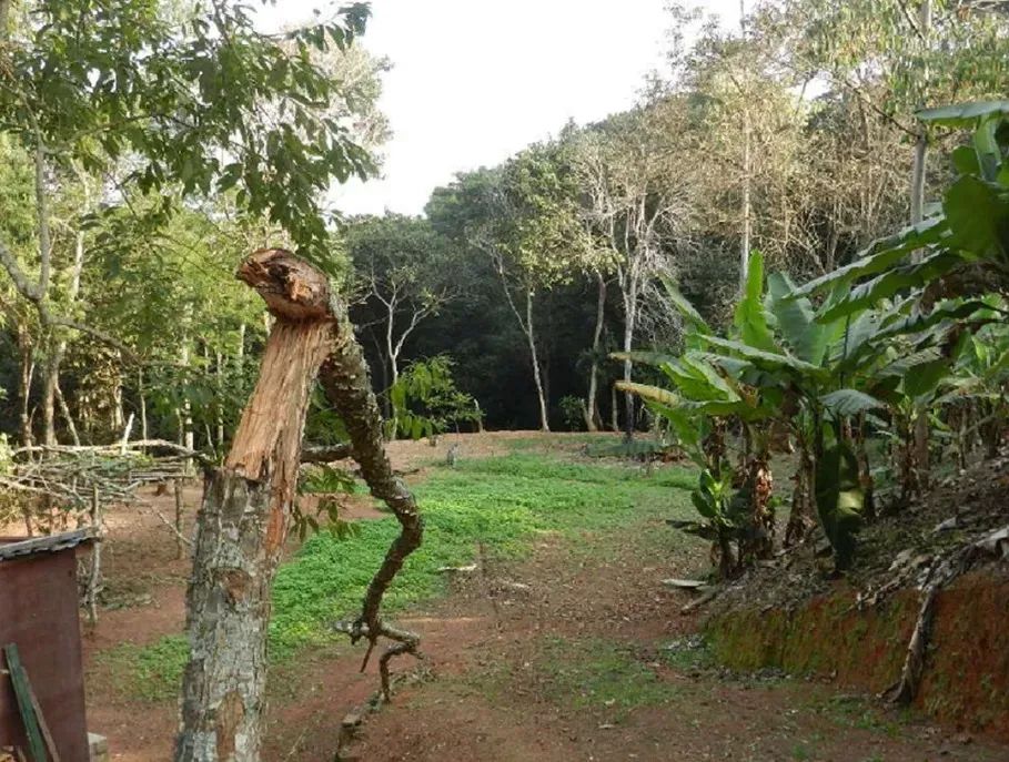 Lote/Terreno para venda com 17332 metros quadrados em Jardim Vargem Grande - Itapevi - São - Foto 3