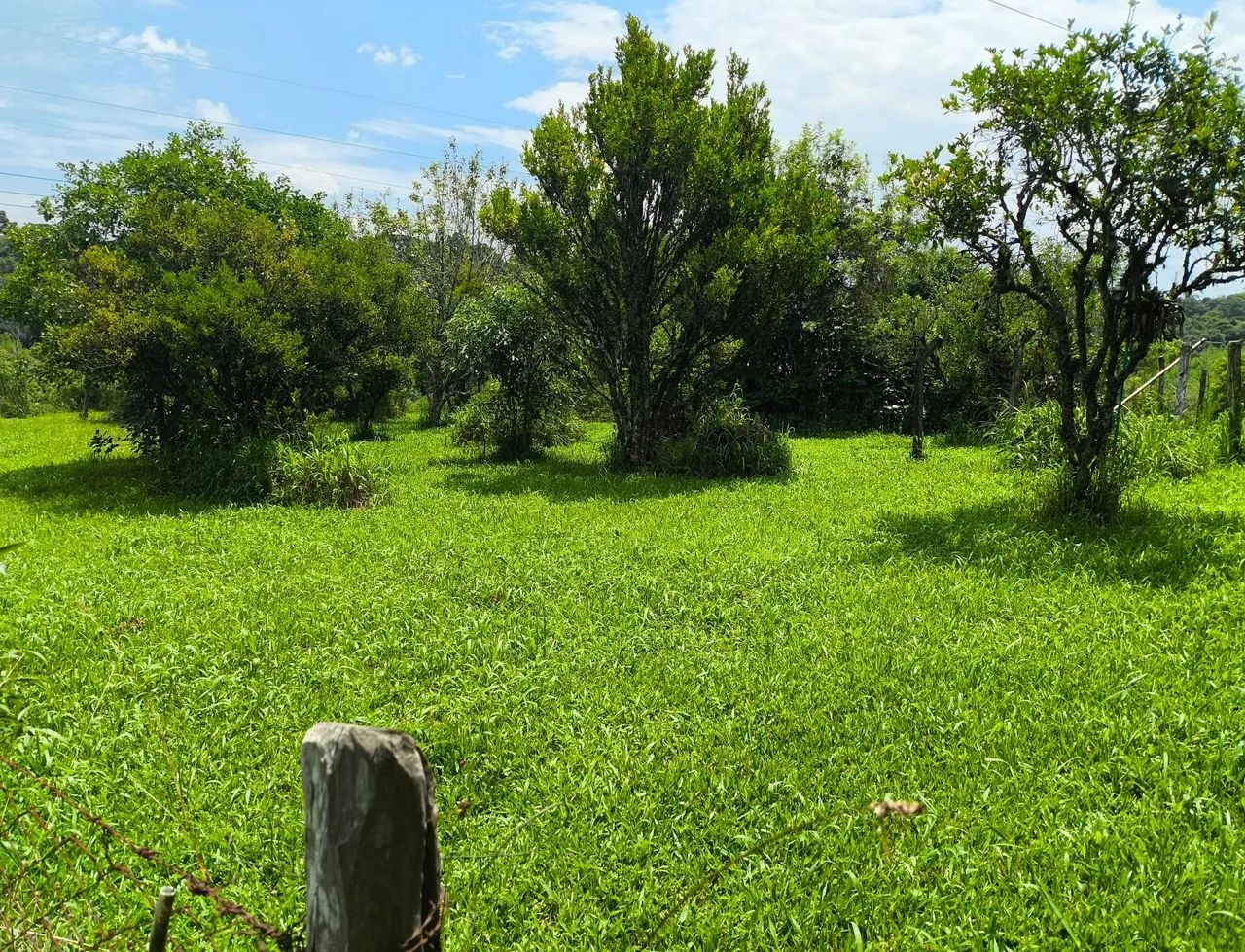 Alugo chacara linda - Foto 2