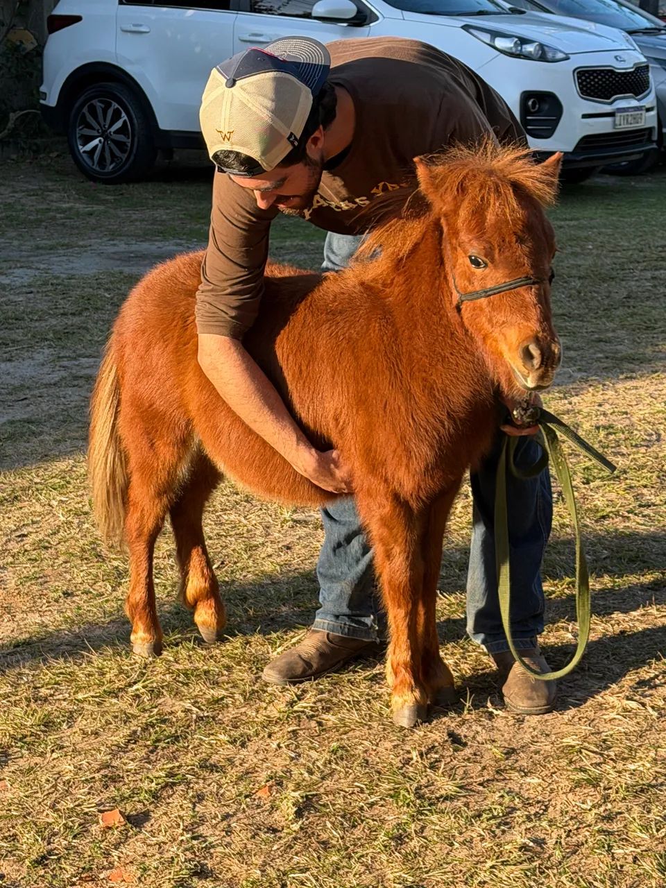 Mini pônei  - Foto 2