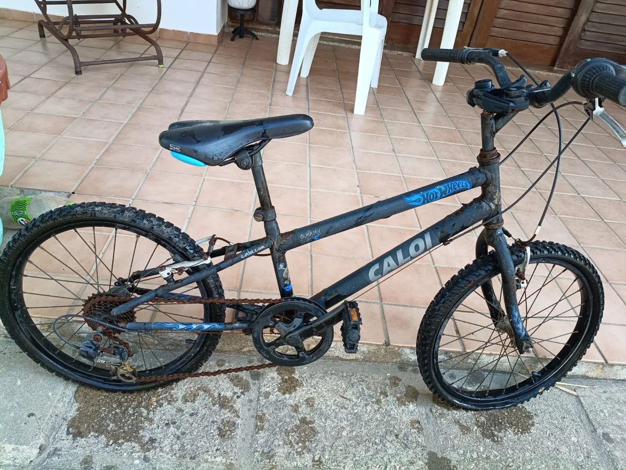 Bicicleta 