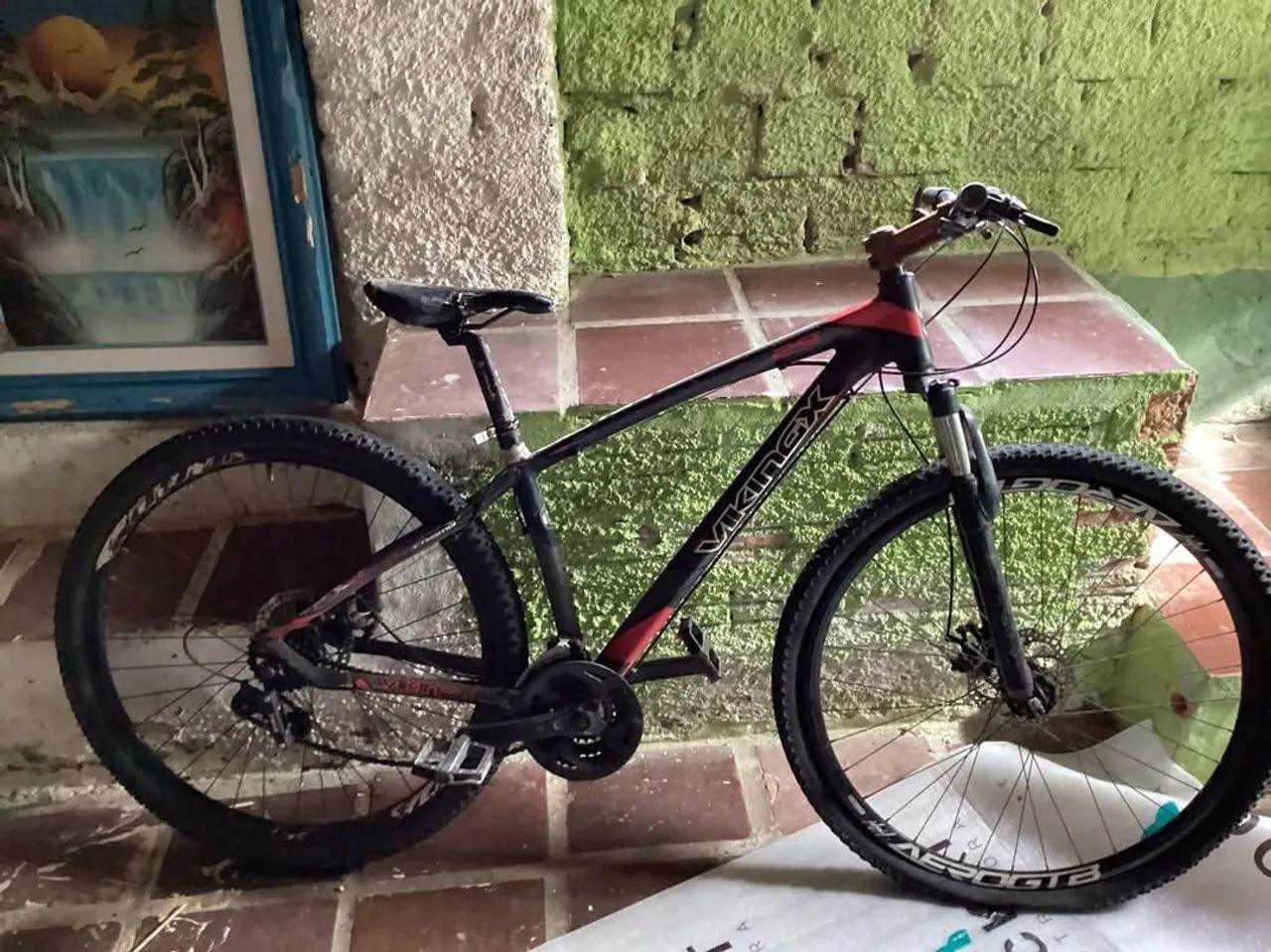 Bicicleta Vikingx