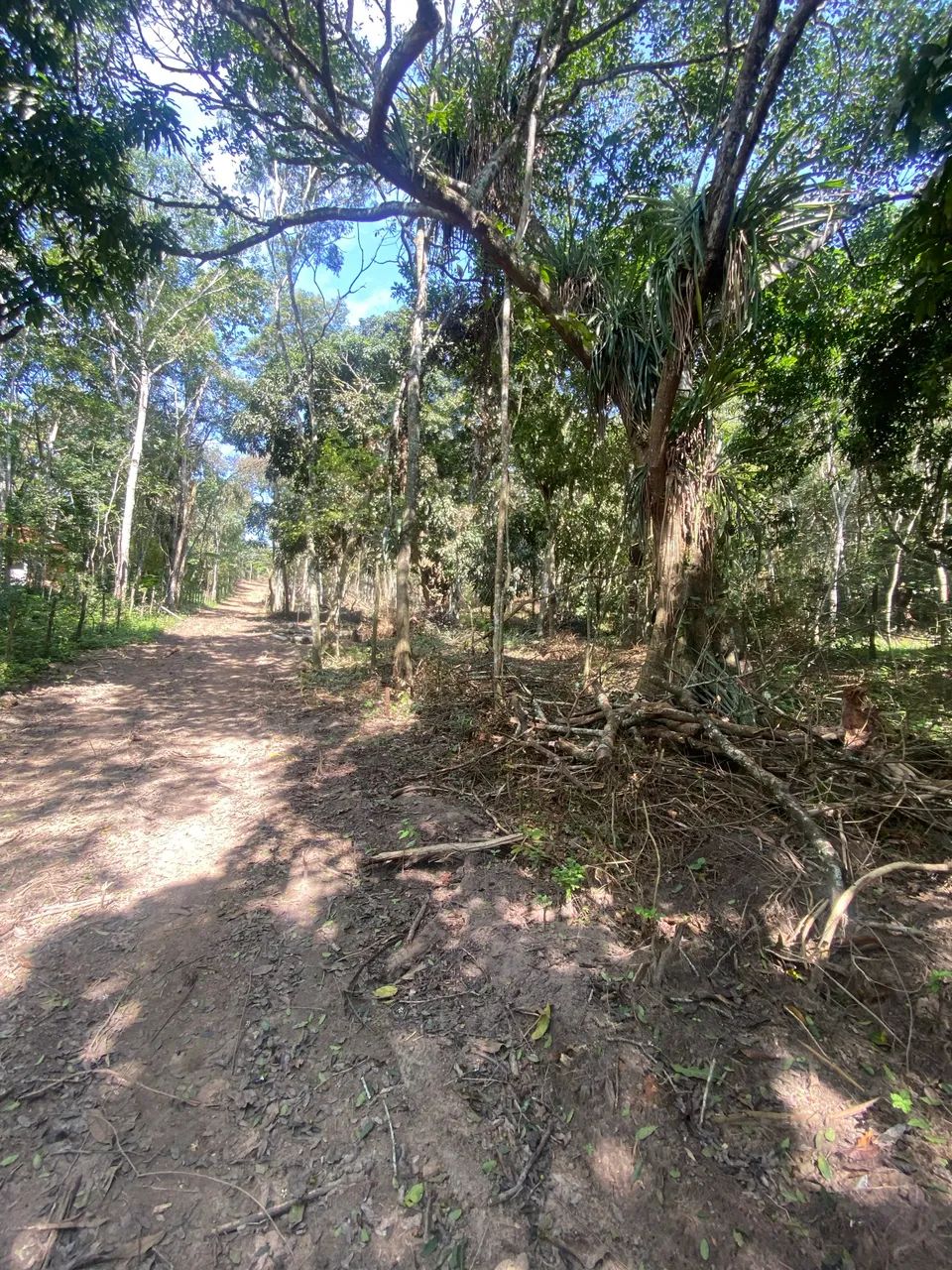 Oportunidade em mulungu - Foto 5