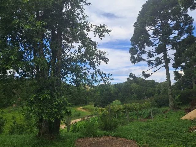 Lindo Sitio em Rancho Queimado - Foto 5