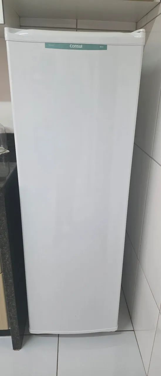 Freezer vertical consul 